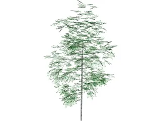 Tree 3D Model preview