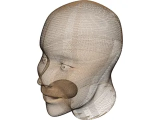 Human Head 3D Model preview