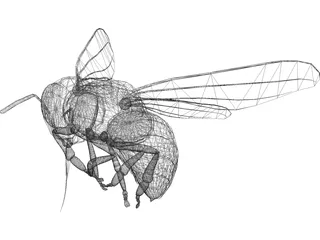 Bee 3D Model preview