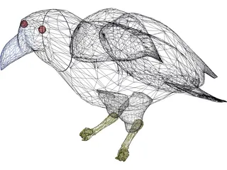 Raven 3D Model preview