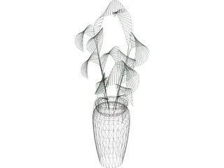 Ficus 3D Model preview