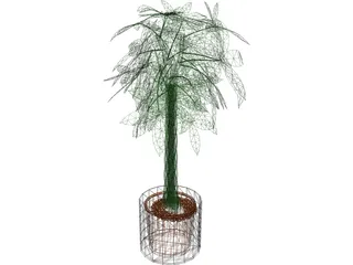 Spatiphylum 3D Model preview