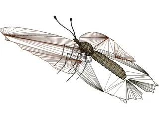 Poke Eye Butterfly 3D Model preview