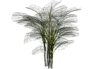 Bamboo Palm 3D Model preview