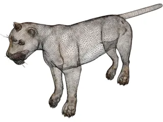 Jaguar 3D Model preview