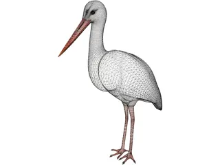 White Stork 3D Model preview