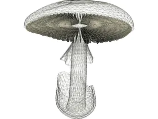 Amanita Phalloides: Death Cap Mushroom 3D Model preview