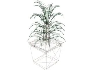 Cica Palm Tree with Sisal Vase 3D Model preview