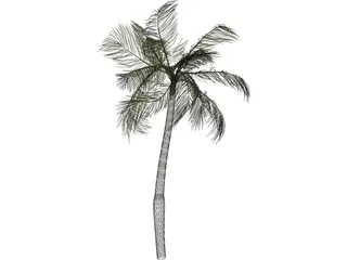 Palm Tree 3D Model preview