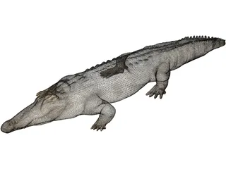 Crocodile 3D Model preview