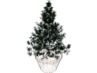 Potted Pine Tree 3D Model preview