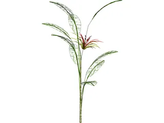 Flower 3D Model preview