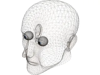Head Human 3D Model preview