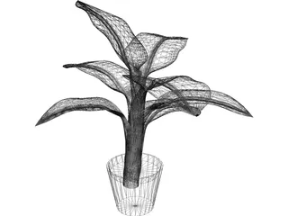 Banana Plant 3D Model preview