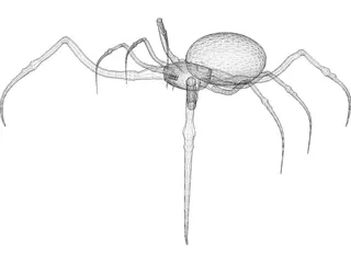 Spider 3D Model preview