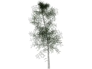 Tree 3D Model preview