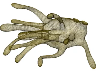 Extra Terrestial Fish 3D Model preview
