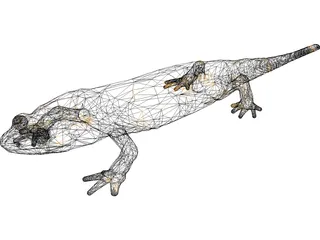 Salamandra 3D Model preview