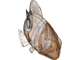 Nemo Fish Cartoon 3D Model preview