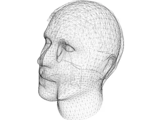 Man Head 3D Model preview