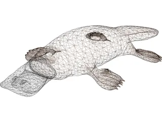 Platypus 3D Model preview