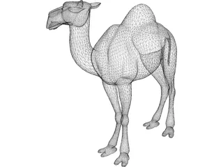 Camel 3D Model preview
