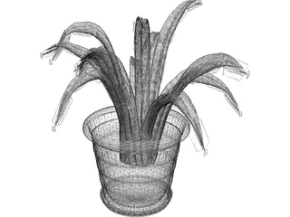 Aloe Plant in a Pot 3D Model preview
