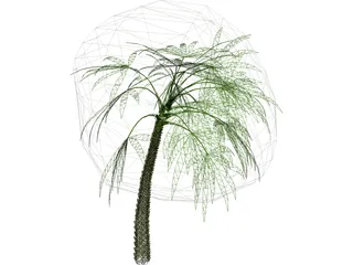 Palm 3D Model preview