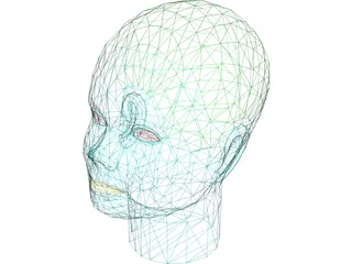 Head Female 3D Model preview