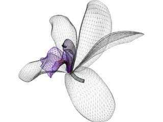 Orchid 3D Model preview