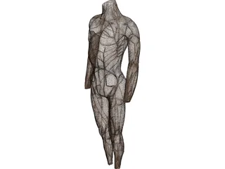 Surface Muscles 3D Model preview