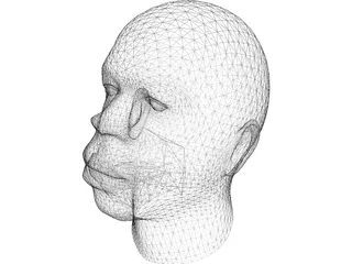 Head African Male 3D Model preview