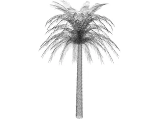 Tree Palm 3D Model preview