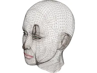 Head Female 3D Model preview