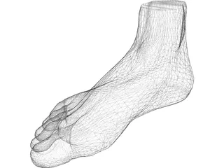 Foot 3D Model preview