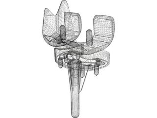 Knee 3D Model preview