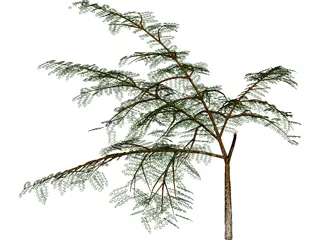 Albicia 3D Model preview