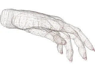 Hand Female 3D Model preview