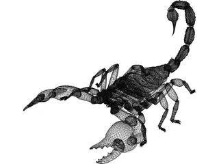Scorpion (Arachnid Scorpionida) 3D Model preview