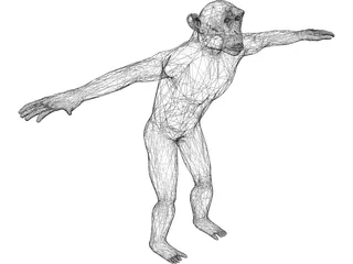Chimpanzee 3D Model preview