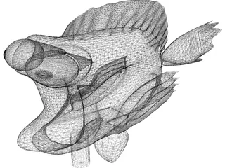 Nemo Cartoon 3D Model preview