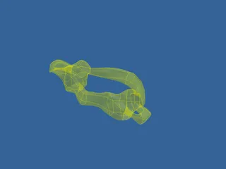 Atlas Bone 3D Model preview