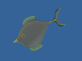 Fish 3D Model preview
