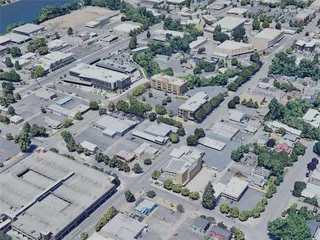 Salem City, OR, USA (2023) 3D Model preview
