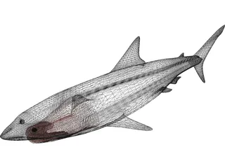 Great White Shark 3D Model preview