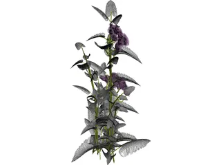 Plant 3D Model preview