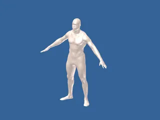 Man Body International 3D Model preview