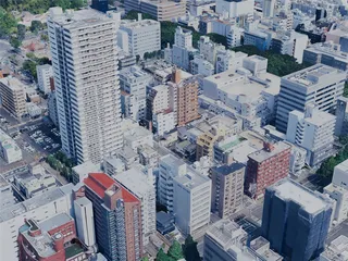 Sendai City, Japan (2025) 3D Model preview
