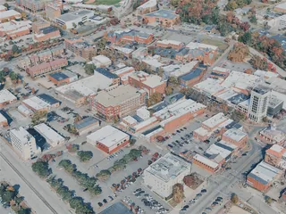 Fayetteville City, USA (2025) 3D Model preview