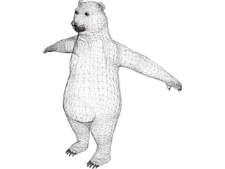 Bear 3D Model preview